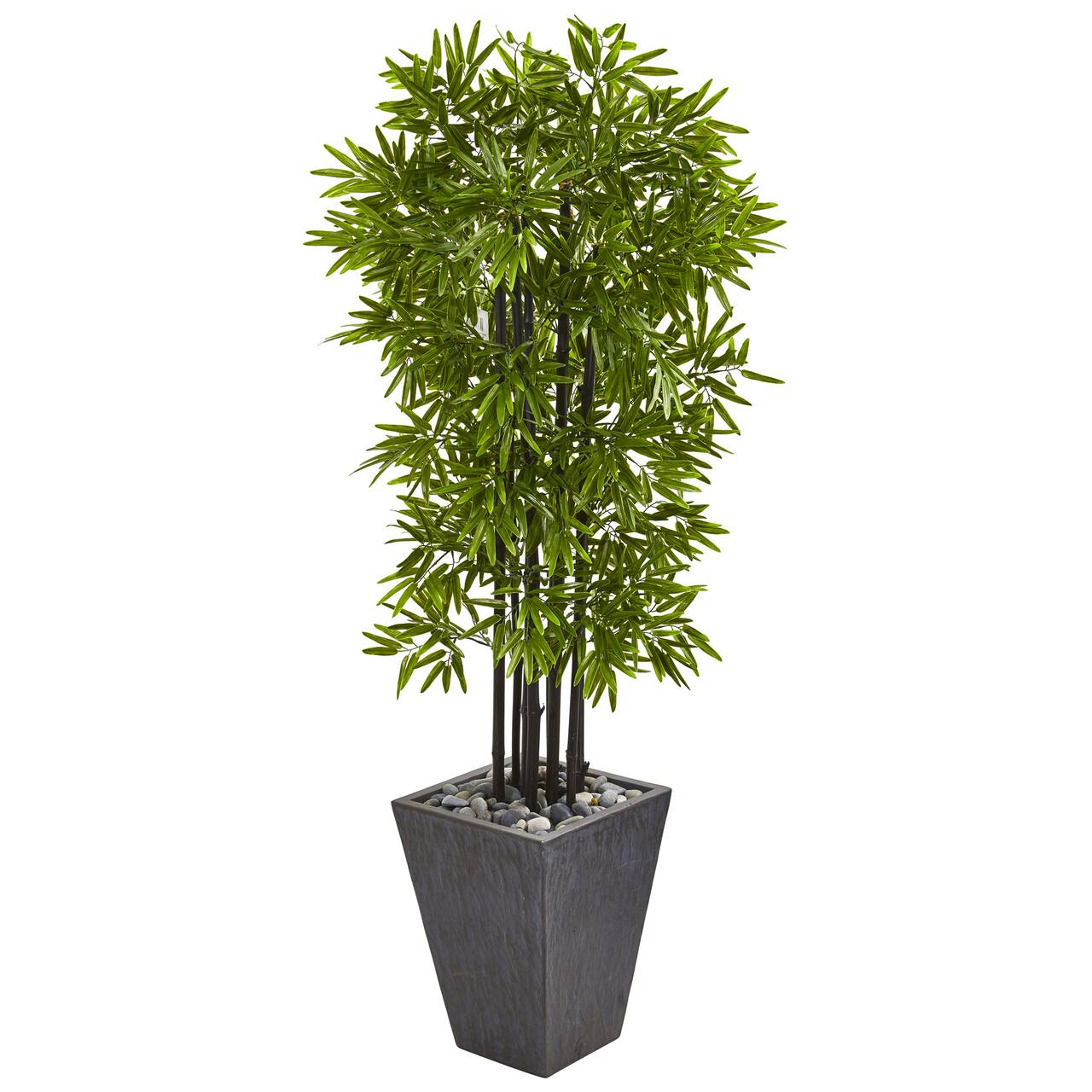 5ft. Bamboo Tree with Black Trunks in Slate Planter